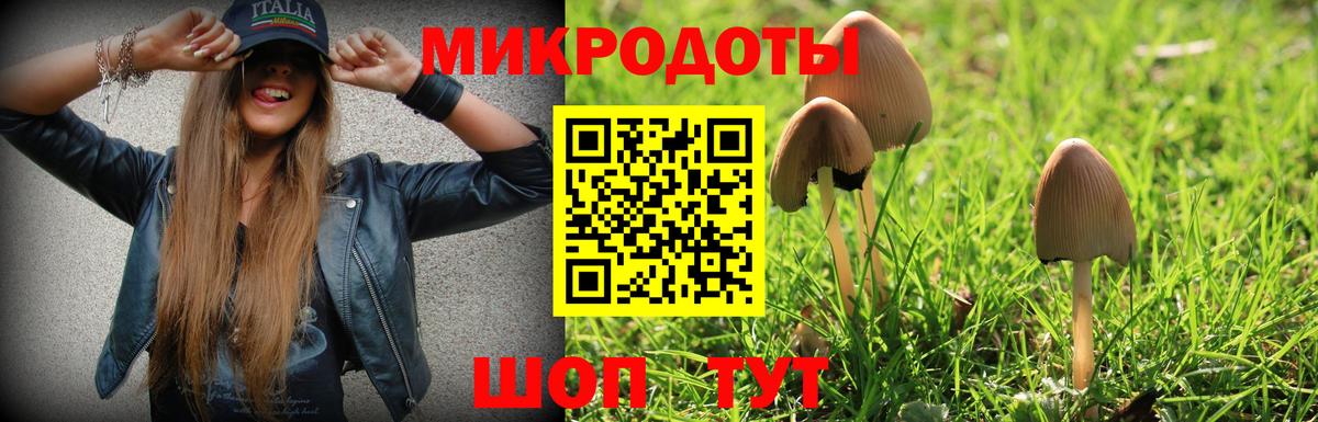 Псилоцибиновые грибы GOLDEN TEACHER  Вход с VPN  Крымск  Галлюциногенные грибы MAGIC MUSHROOMS 